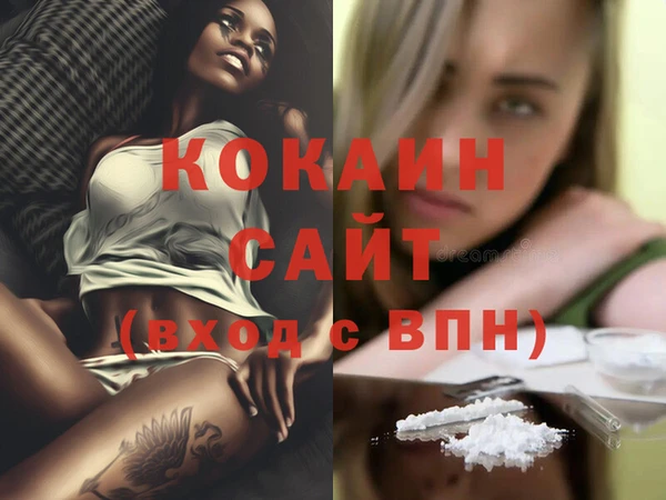 ECSTASY Новозыбков